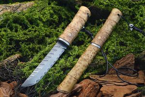 Ny ankomst M7734 Högkvalitativ rak kniv Damascus Stål Rätt punkt Blad Shadow Wood Handle Outdoor Camping Vandring Survival Knives With Wood Mante