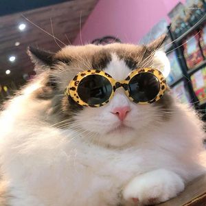 Dog Apparel Round Glasses For Small And Cat Sunglasses Pography Pet Accessories Fashion Product 2PCs