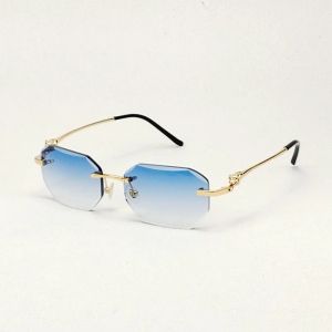Sonnenbrille Vintage Diamant geschnittene Sonnenbrille Männer Photochrom Objektiv Leopard Gafas Frauen Metall Rahmen klare Brille Brille mit Gehäuse