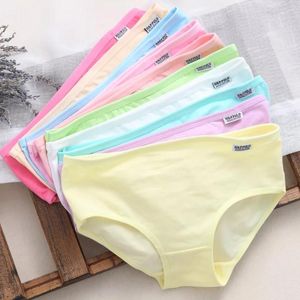 Calcinha feminina 3pcs/lote plus size para roupas íntimas Briefas de cor de algodão sólido lingerias sexy shorts femininos mora 3xl/4xl