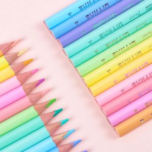 Pencils Ecotree 12 Pcs/PET Box Pastel Macaron Cute Colored Pencils Professional Drawing Color Pencil Set for Art and School Supplies