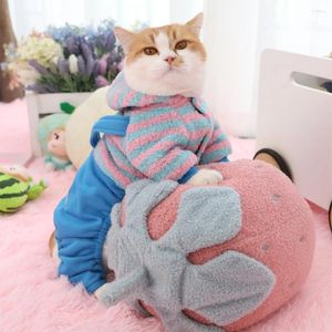 Odzież dla psa Hoopet ubrania z kapturem z kapturem Teddy Suit Cat Puppy Mała bawełniana sukienka Autumn Winter Clothing