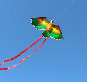 Ny anländer utomhus roliga sport 43 tum papegoja /fågel drake med handtag och linje för barn bra flygning