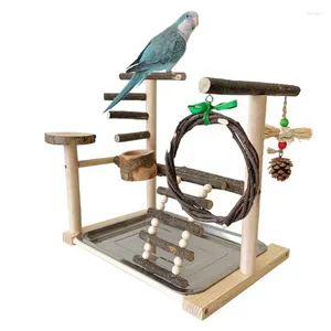 Altre forniture per uccelli da gioco per morso resistente alla gabbia uccelli giocattolo swing e vassoio per pappagalli pappagalli Budgies