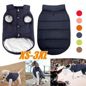 Abbigliamento per cani Abbigliamento inverno inverno abiti per abiti da cani abbigliamento caldo piccolo grande