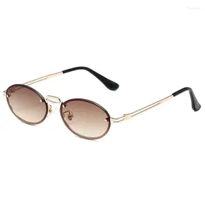 Güneş Gözlüğü Moda Erkekler Kadınlar Oval Küçük Güneş Gözlükleri UV400 Koruma Vintage Eyewear Retro Güneş Gözlüğü Lunette Soleil Femme