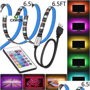 شرائح LED مقاومة للماء 5 فولت الضوء 0.5M 100 سم 2M 3001 مرنة 5050 RGB TV Backlight USB و Mini Controller Lights Ligh dhhzg