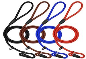 Pet Dog Nylon Rope Training Leash Slip Lead Strap Justerbar Traction Collar Pet Animals Rep Supplies Tillbehör 130CM6906694