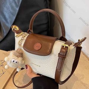 Maillard Style Fashion Bag 2023 New Womens Crossbody Dumpling Bag Autumn Winter Purses and Handbags Luxury Designer Mini Bag