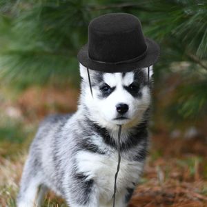Köpek giyim 2 PCS Pet Doğum Günü Kedi Şapkası Noel Keçe Şapkaları Köpek Aksesuar Dekoratif Festival