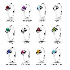 Ringos de cluster 925 Sterling Silver Birthstone Janeiro Red Circle Ring 12 meses Azul marítimo Clear Dia dos Namorados Feminino Feminino menina