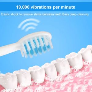 Tongwode Sonic Electric Dente Scroto di dente IPX7 Coppia per adulti impermeabili Utilizzare teste di spazzolino da dente sostituibili a setole morbida