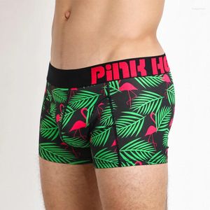 Pola de cueca de 4 calcinha de algodão masculino de spandex impressa Men calcinha de calcinha de alta qualidade