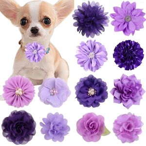 Vestuário para cães 50pcs colarinho de flor a granel para o dia dos namorados de colarinho removível tirha borhe cães de animais de estimação acessórios