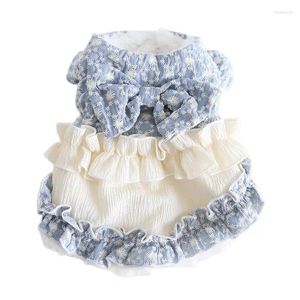 Vestuário para cães Casaco de lã de inverno para cães quentes neve bordada camada de algodão saia bowknot traje de gato xs s m l xl