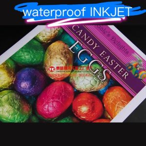 Lifestyle Waterproof A4 Pp Pvc Pet Label Sheets for Inkjet Printer 50 Sheets Per Packpermanent Adhesiveoutdoor Display Label