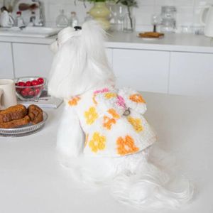 Dog Apparel Autumn Winter Double-sided Plush Traction Skirt Jacket Cute Pet Clothing Teddy Puppy Clothes Designer