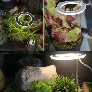 Sacos de armazenamento LED Grow Light Full Spectrum Phyto Lamp Anel USB Angel Ring for Succulents Flor Plants Growth (Sunshine)