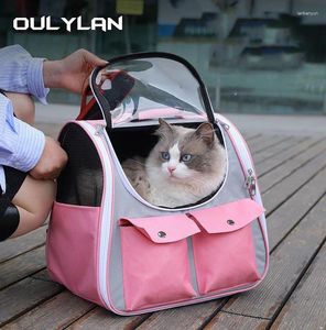 Transportadores de gatos Bolsas de transportadoras orilãs Pet Backpack Smith Backpack Saco de transporte de gaiola de gaiola de gaiola de transporte cães carregando cães