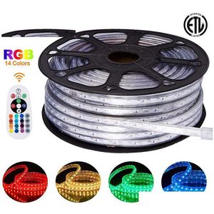 Led Strips 150Ft 50M Strip Light Cuttable Lights Smd2835 5050 120Leds/M 60Led/M Flex Rope Ip65 Warm White Rgb Neon Decoration Indoor Dh1L4