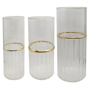 Wazony przezroczysty cylinder szklany wazon kwiatowy Butelka Znakomita solidna zagęszczona dłoni dłoni do centralnych elementów dekoracje wielofunkcyjne