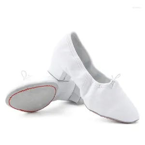 Dance Shoes Sneakers Sports Female Soft Bottom For Women Laces Training Yoga Belly Folk Woman