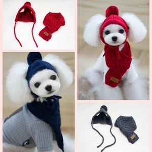 Dog Apparel Hat Winter Warm Knit Woolen Scarf Two Piece Teddy Chihuahua Puppy Costume Christmas Year Pet Gift Accessories