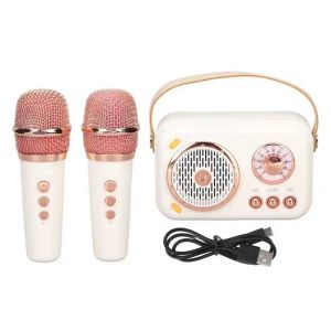 Spieler Dual Microfon Karaoke Machine erweiterte Bass 6 -Modi -Familie KTV -System PA -Lautsprecher mit MIC für Partyaktivität