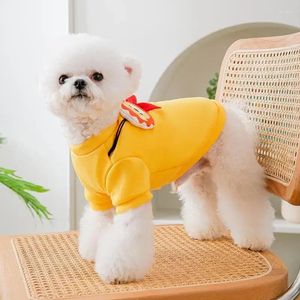 Dog Abbigliamento autunno adorabile maglione tridimensionale a velluto sottile vestiti a due gambe orsacchiotto
