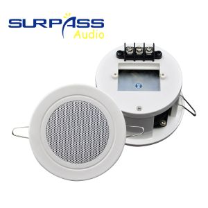 Accessori Mini Speaker a soffitto 3 pollici Roof 36W Speaker passivi Sistema di Horn Pa per casa Music Cinema Teatro Player