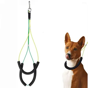 Dog Collars Pet Grooming Loops Supplies Stainless Steel Durable Noose Loop Belly No Sit Haunch Holder For