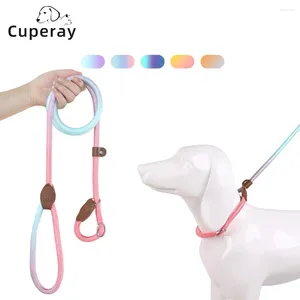 Dog Collars Slip Lead Leash Strong P Chain Anti-Choking Anti-Pull And Outdoor Walking Training For Small Medium Large