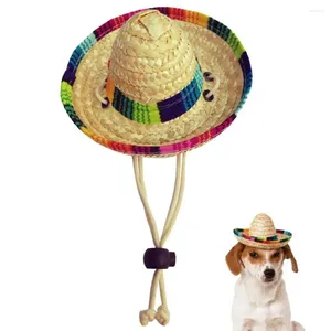 Соломенная шляпа в стиле для собак для собак милый мини -щенок тканый солнце