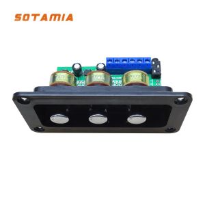 Amplifier SOTAMIA Digital Power Amplifier Board Stereo Amp NS4110B Sound Amplifier 2x20W HIFI Amplificador Treble Bass Tone With Panel