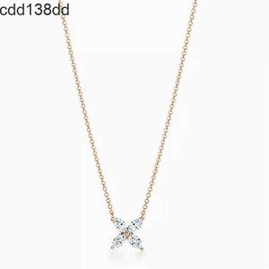 2024 New 18k designer necklace gift sailormoon have jewelry nature English plate goth resin pendant necklaces moissanite choker jewelery swan