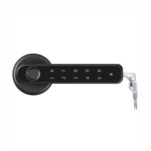 Ucuz Kapasite Kontrolü 50 Kullanıcılar çinko alaşımlı akıllı biyometri parmak izi/şifre/anahtar kodu kapalı ahşap metal kapı için tek mandal kilidi