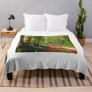 Decken Sunny Forest dh Sherpa mexikanische Anime -Bettwäsche Wurfdecke