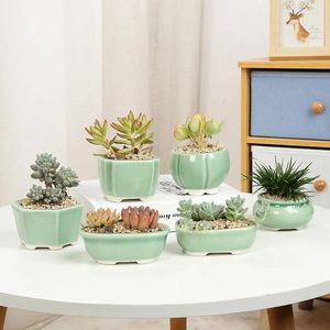 Vasos China yixing vasos de flores Plantas suculentas Micro paisagem GE Kiln Celadon Home Decoration Vase Desktop Green Plant