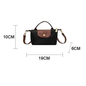 2024 2024 2024 New Trendy Luxury Designer Mini Nylon Shoulder Crossbody Bags for Women Female Handbags and Purses Messenger Bag Sac a Mian10a 11a