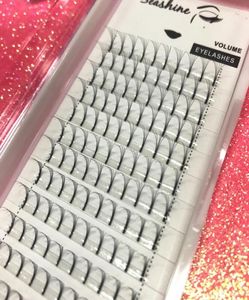 Fãs de volume inteiro 6d y Extensões de cílios 6 aglomerados 010 espessura cílios individuais fãs cílios sul -coreanos lashes9751825