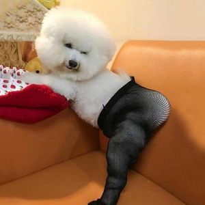 Dog Abbigliamento FORNITÀ PET PER CATTO CATTO ROSSO ROSSO SOCKS NET STREET SEXY OF THE GOW Bike Rack Bicycle cestini