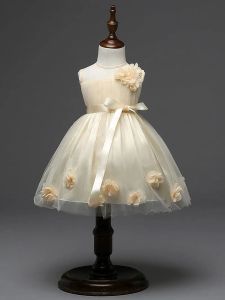Платья последнее дизайн цветочные девушки свадебное платье 3d розовая девочка TUTU Юбка детская девочка для вечеринки пижая тюль плать