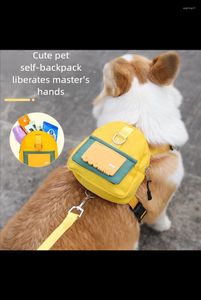 Dog Collars Leash Cartoon Book Bag Outdoor Travel Pet From Backpack Supplies