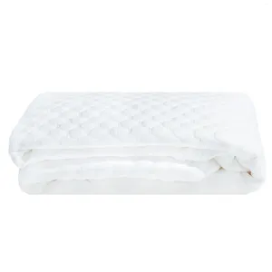 Blankets Remedy Waterproof Hypoallergenic Zippered Mattress Protector Twin Blanket