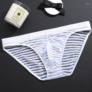 Underpants Männer sexy Slips Erwachsene atmungsaktive Mesh Elastizität mit niedriger Taille Spandex Feuchtigkeit Docht Unterwäsche Bekleidung Gay
