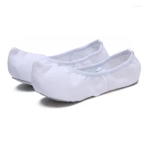 Tanzschuhe Ushine Qualität Leinwand Cowide Leder Soles Klassischer Ballett Innenpraxis Yoga Gogo Koreanisch Frau Mann