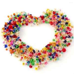 Dekoratif Çiçekler 100-500 PCS Çok renkli mini kurutulmuş DIY sanat zanaat epoksi reçine mum, mücevherler ev partisi