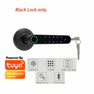 Lås intelligent fingeravtryck Dörrlås Bluetooth Tuya Smart Life App Lås upp USB -laddningsbart smart digitalt handtag Key Lock Passage -läge