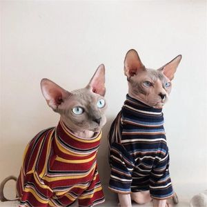 Hundkläder kattkläder för sfinx hårlösa randiga kläder varmt stickat tröja husdjur