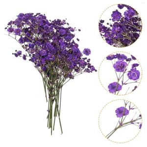 Decorative Flowers 40Pcs Natural Dried Flower Crafting Plant Arrangement Vase Filling Decors Specimen